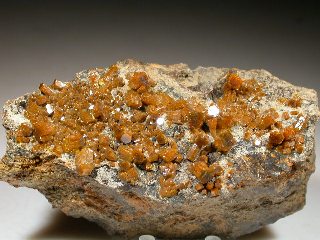 umi01_01.jpg (60522 byte)