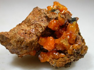 umi06_01.jpg (60665 byte)