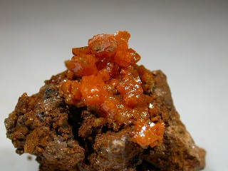 umi06_02.jpg (58415 byte)