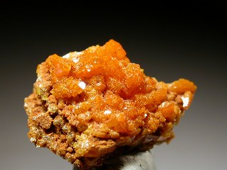 umi09_01.jpg (56192 byte)