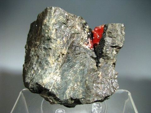 Rhodocrosite  - Uchucchacua Mine, Oyon , Lima, Perù