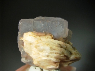 Fluorite, Baryte - La Collada  Mine, Asturias, Spain