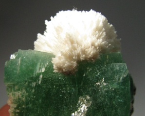 Green Apophyllite -  Poona, India