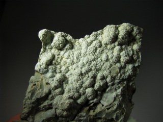 Lizardite from Monte Tre Abati (Italy) -  lot of 5 pieces