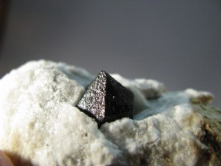 Black Quartz from Monterosso (italy) -  lot of 5 pieces