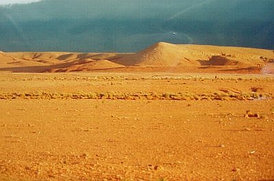 Storm_mibladen.jpg (27279 byte)