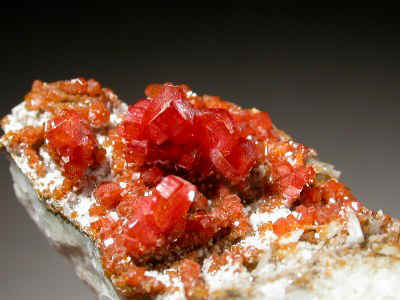 vab39_01.jpg (69830 byte)