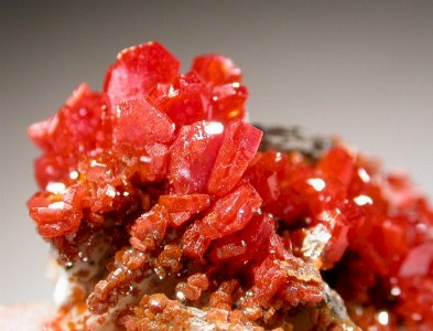 vab65_02.jpg (37062 byte)