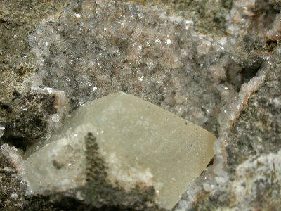 sar99_02.jpg (72028 byte)