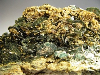 Melanite - Rocca Castellaccio, Malenco valley,  Italy