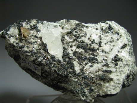Titanite  - Alpe Veglia, Formazza Valley, Italy