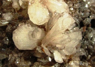 Hemimorphite - Sa Duchessa Mine, Domus Novas, Italy