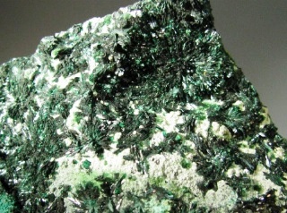 Atacamite  - La Farola Mine, Atacama, Chile