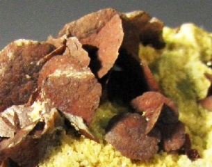 Siderite - Brosso mine Ivrea Torino,