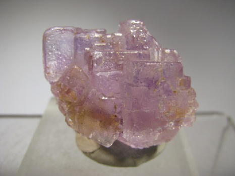 Fluorite   - Zogno Mine, Bergamo, Italy