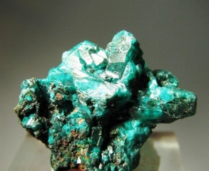 Dioptase  -  Mindouli, Congo