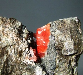 Rhodocrosite  - Uchucchacua Mine, Oyon , Lima, Perù