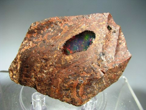 Opal -  Carbonea Mine, La Trinidad, Mun. de Tequisquiapan, Queretaro, Mexico