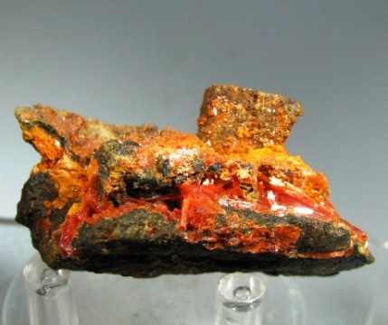 Crocoite  -  Dundas Extended Mine, Zeehan district, Tasmania, Australia