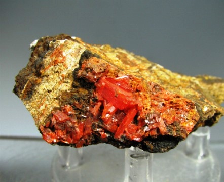 Crocoite  -  Dundas Extended Mine, Zeehan district, Tasmania, Australia