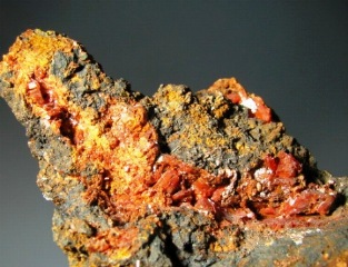 Crocoite  -  Dundas Extended Mine, Zeehan district, Tasmania, Australia