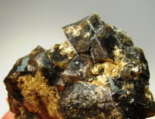 Andradite  -  Kara Mines, Hampshire district, Tasmania, Australia