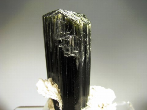 Tourmaline -  Stak Nala, Pakistan