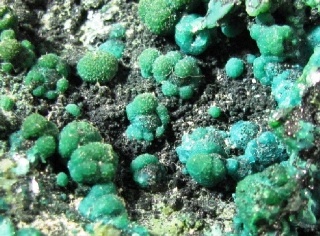 Crisocolla, Malachite - Punta Calamite, Elba Island,  Italy