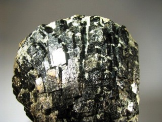 Dravite - May Downs Station, Queensland, Australia