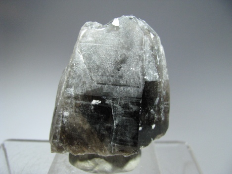 Smoky Quartz -  Broken Boom Pocket, Two point Mine, Teller, CO, USA