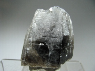 Smoky Quartz -  Broken Boom Pocket, Two point Mine, Teller, CO, USA