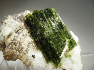 Tourmaline  -  Minas Gerais, Brazil