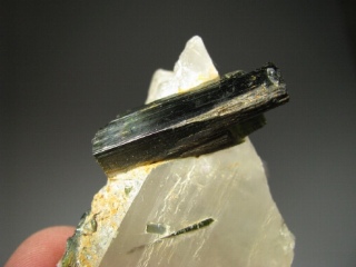 Tourmaline  -  Minas Gerais, Brazil