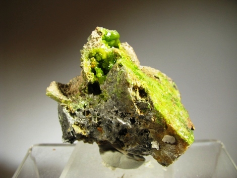 Pyromorphite  - Corrèze, Limousin, France
