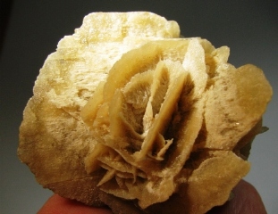 Gypsum (Sand Rose) - Algeria