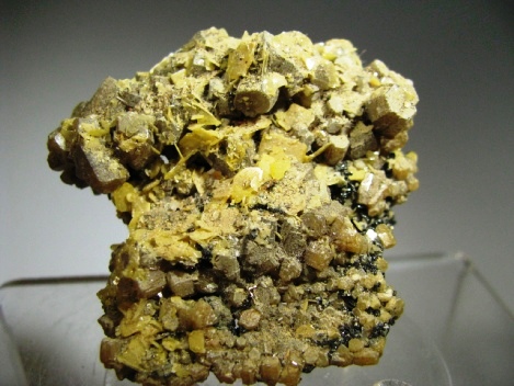 Endlichite, Wulfenite - Touissit, Touissit District, Oujda-Angad Province, Morocco