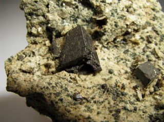 Pyrite- Adamello Mt., Lombardy, Italy