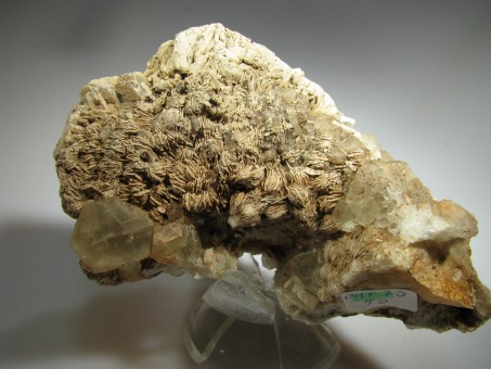 Fluorite,Barite - Madoc Township, Ontario,Canada