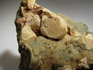 Quartz after Analcime - Drio Le Pale, Fassa, Italy