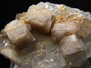 Fluorite Quartz - Cinquevalli Val sugana Italy