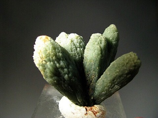 Prase Quartz - Serifos Island, Greece