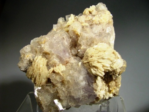 Fluorite  - Berbes, Spain