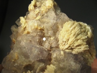 Fluorite  - Berbes, Spain