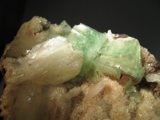 Green Apophyllite -  Poona, India