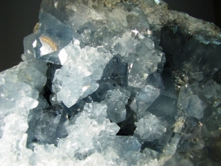 Celestine - Boeny Region, Mahajanga Province, Madagascar
