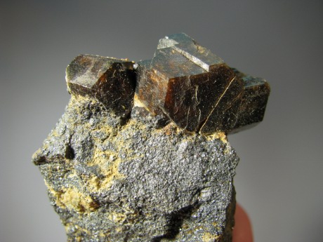 Almandine from Tasmania -  lot of 10 pieces
