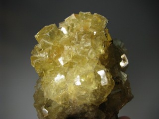 Fluorite from Muscona Mine (Spain) -  lot of 5  pieces