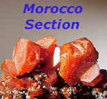 logo_marocco.jpg (11233 byte)