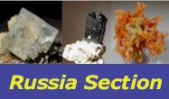 logo_russia2.jpg (9365 byte)