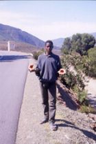 Falsi2.jpg (7995 byte)